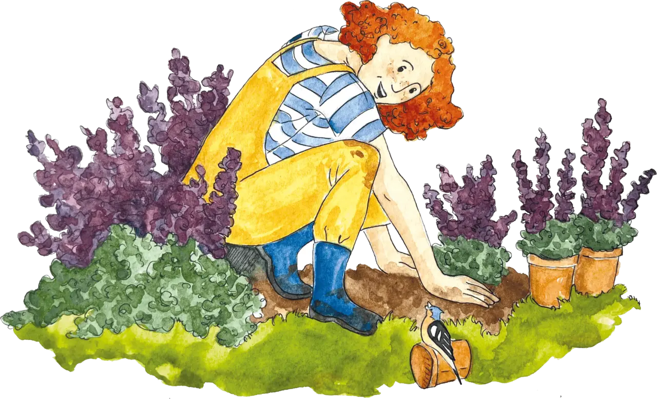 Flora im Staudenbeet (Illus02)